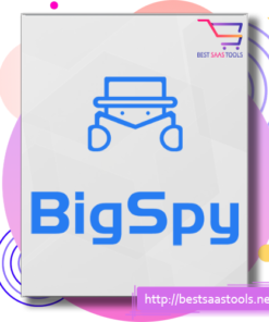 BigSpy Pro