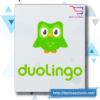 Duolingo learn English for school
