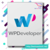 Wp developer All In One Plugin Wordpress