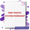 Free Traffic System Workshop