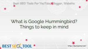 What is Google Hummingbird? Things to keep in mind