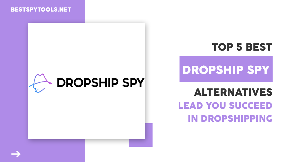 Top 5 Best Dropship Spy Alternatives Lead You Succeed In Dropshipping