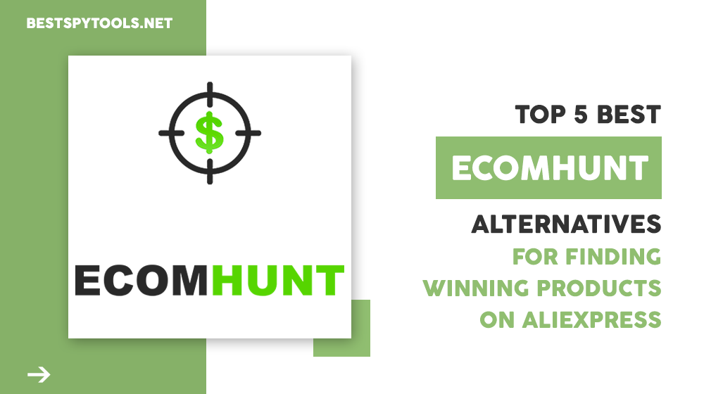 Top 5 Best Ecomhunt Alternatives For Finding Winning Products On Aliexpress
