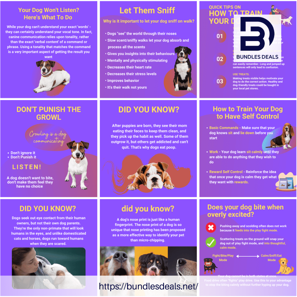 120 Dog Training & Tips Infographic Posts 2
