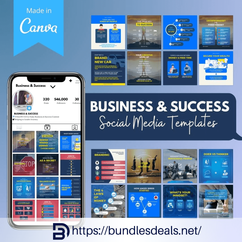 Business & Success Infographics Social Media