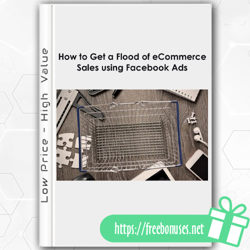 eCommerce Sales using Facebook Ads