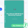 The Ultimate BFCM Email Marketing Playbook download