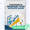 6 Strategies To Increase Your Affiliate Sales ebook