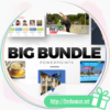 Big Bundle Templates free