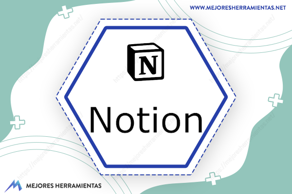 Notion Pro