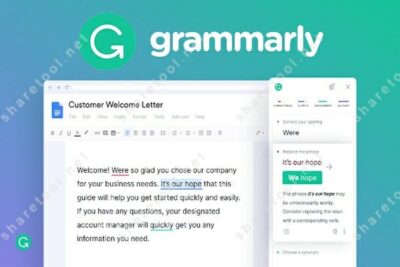 Grammarly group buy