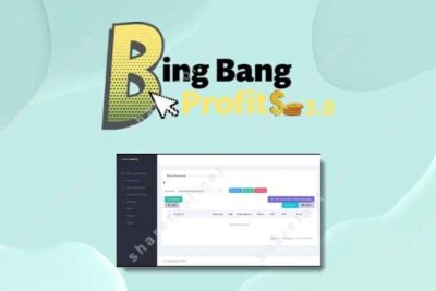 Bing Bang Profits