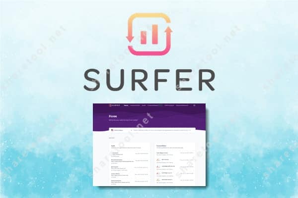 Surfer Seo group buy