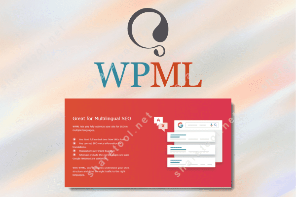 WPML Agency