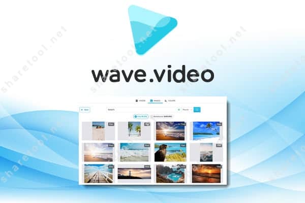 Wave video