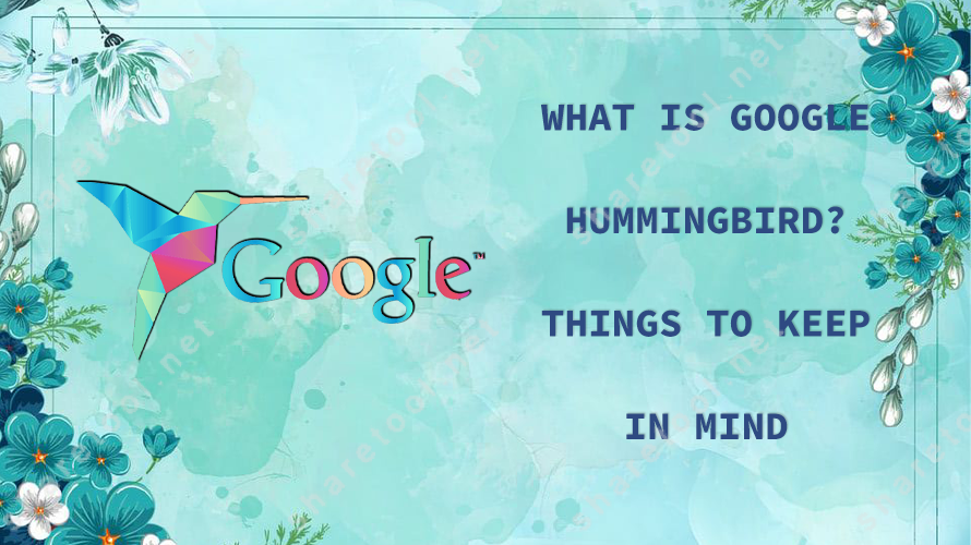 What is Google Hummingbird? Things to keep in mind