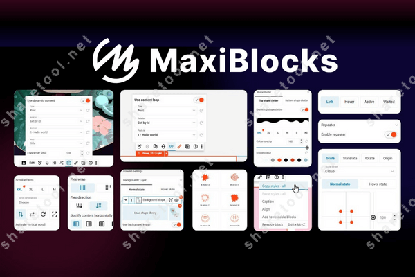 MaxiBlocks plugin