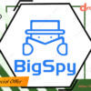 BigSpy group buy