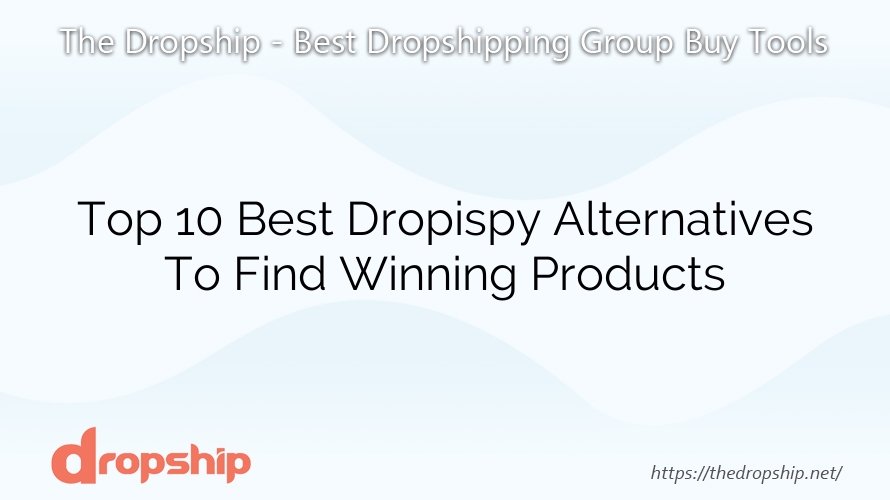 Top 10 Best Dropispy Alternatives To Find Winning Products